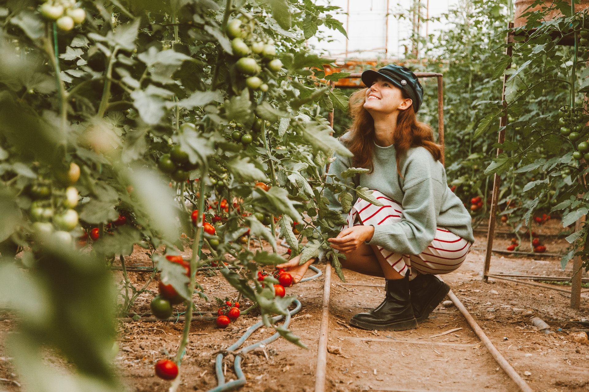A woman working in the vegetable garden.